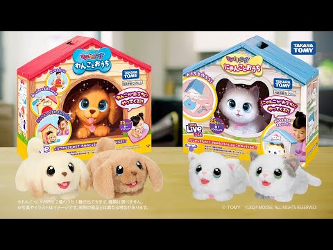 【マジカルDIY　にゃんことおうち】にゃんこがおうちにやってくる！？