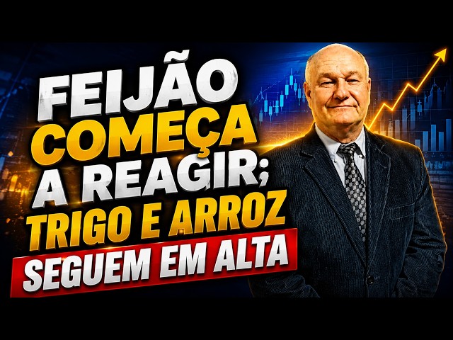 Feijão começa a reagir; Trigo e arroz seguem em alta.