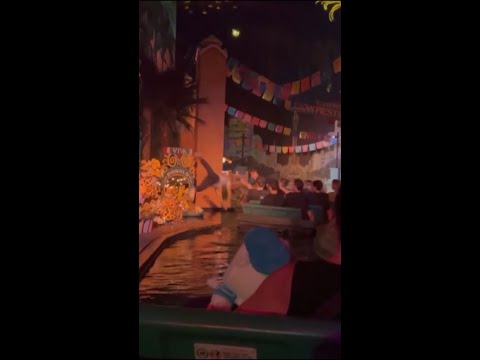 Guest jumps into water on Disney World ride