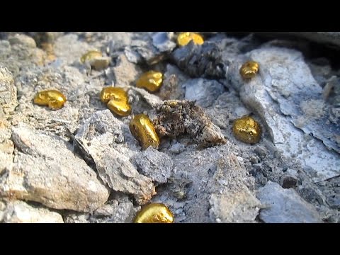 Золото из золы. Электролит и селитра, простой и доступный метод (ПОЛУЧАЕМ ЗОЛОТО)