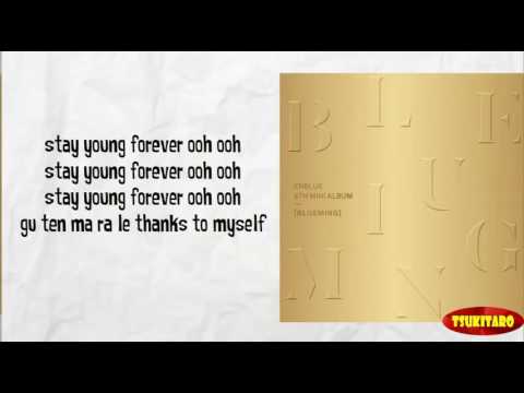 CNBLUE - Young Forever Lyrics (easy lyrics)