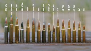 How to Choose a Hunting Rifle/Cartridge: Guide to Ballistics and Ammo