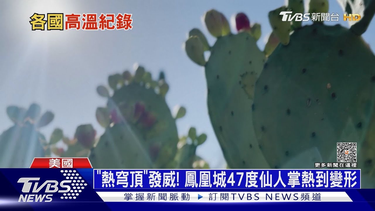 杜蘇芮讓菲國18萬人受災 美國熱到仙人掌變形