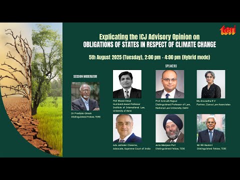 Webinar: Explicating the ICJ Advisory Opinion on Obligations of States in Respect of Climate Change