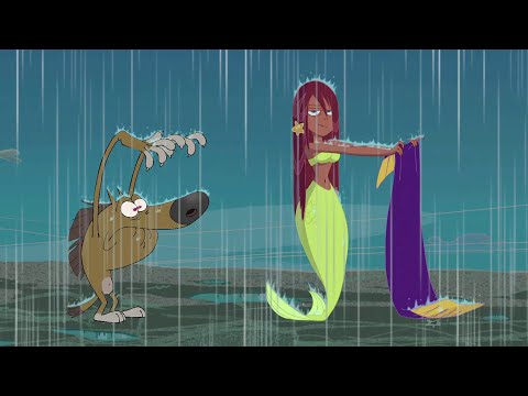 हिंदी Zig & Sharko 🌧 बरसात की अवधि  ☔ Hindi Cartoons for Kids