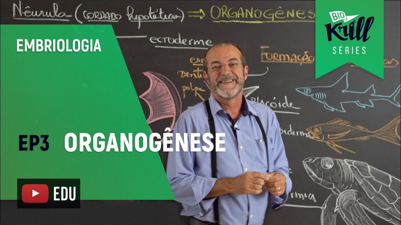 Organogênese (Embriologia - EP 3) | Biokrill Series
