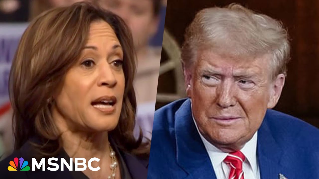'Calling him out day after day': Harris draws contrast with Trump