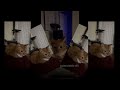 Cat Absolutely Vibing