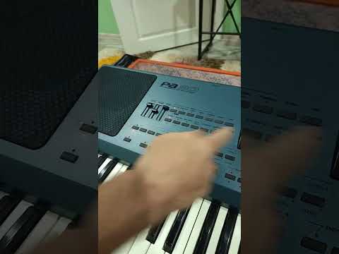 Korg PA 80  Türkiye'de tek