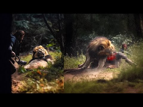 Quando os Felinos mais Selvagens Atacam *SELEÇÃO*