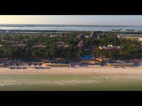 Videos del Reef Yucatán  Convention Center 5★ en Telchac Puerto, MéxicoVer MásVerPrecios15CerrarConsulta por Whatsapp 🇦🇷BookingTripadvisorExpediaTravelocityOrbitzPricelineTripSkyscannerDespegarKayakHotelesBestdayDestiniaTrivagoTurismocity