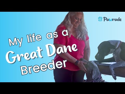 Meet a Pawrade Breeder