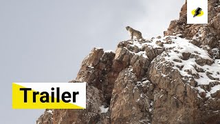 Trailer Preview Image