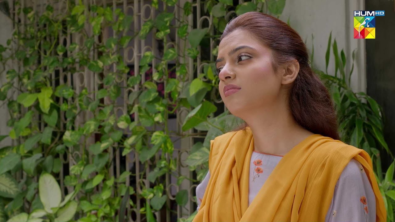 Daam e Mohabbat Episode 01 | Best Moments | HUM TV Drama