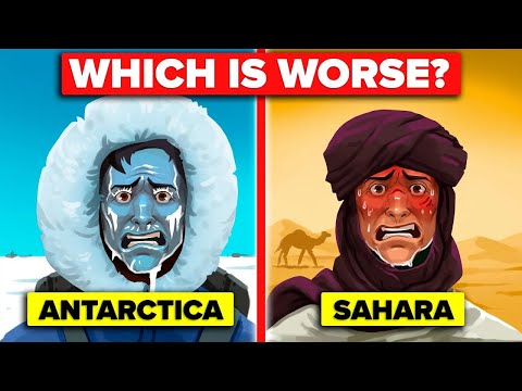 Antarctica vs Sahara - Could You Survive 1 Year In Extreme Temperatures (Compilation)