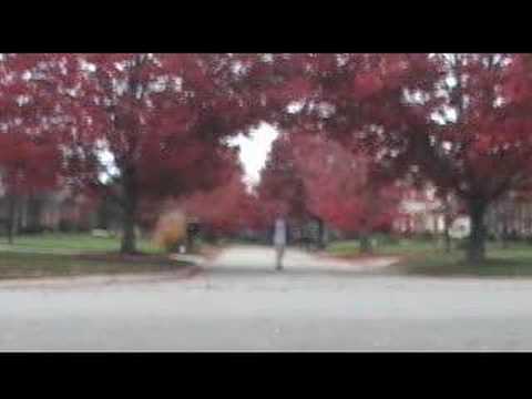 The Day The World Died