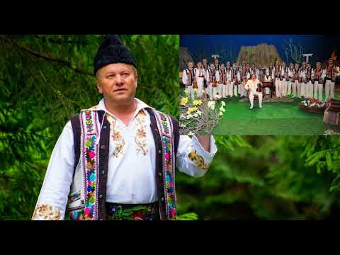 Constantin Bahrin  & Orchestra Lautarii din Chisinau  - Azi ma bucur de ce am