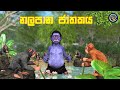 Lapati Sina Nalapana Jathakaya ලපටි සිනා නලපාන ජාතකය 3D Animated