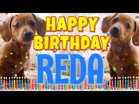 Happy Birthday Reda! ( Funny Talking Dogs ) What Is Free On My Birthday