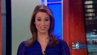 Cheryl Scott 2014/02/23 NBC Chicago HD