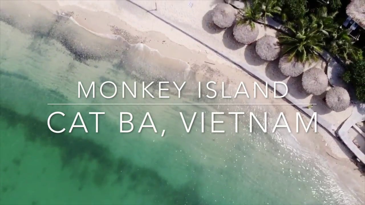 Experience the aerial panorama of Monkey Island.