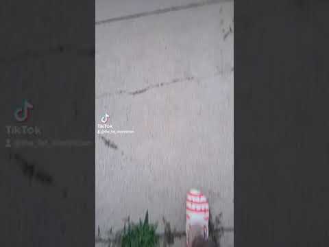 The Fat Electrician Reviews: Artillery & Forward Observers