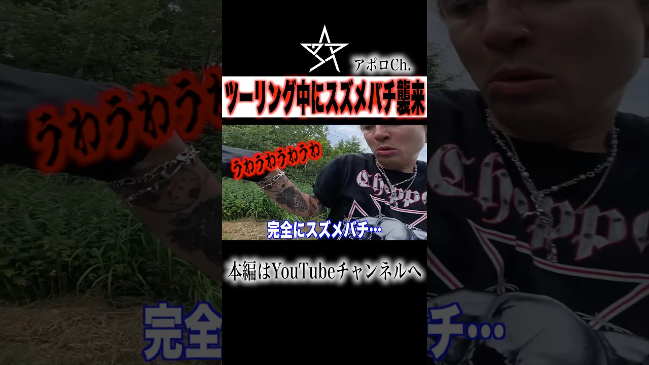 【危険】ツーリング中にスズメバチ襲来