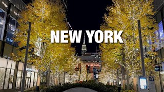 New York City LIVE Manhattan on Monday (November 17, 2025)