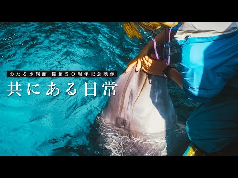 【おたる水族館】開館50周年映像「共にある日常」