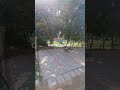 500 Sq Yards House Design 500 Sq Yards House 500 Sq Yards Luxury House House Property Viral