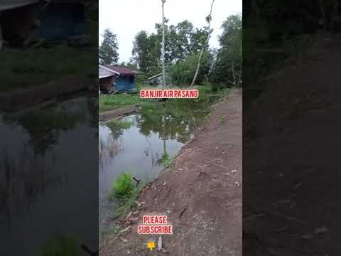 Transmigrasi pesisir