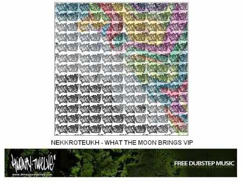 Nekkroteukh - What The Moon Brings VIP
