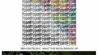 Nekkroteukh - What The Moon Brings VIP