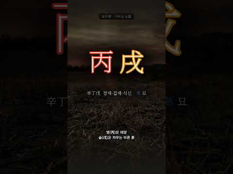 노을이 지는 마른 들녘 | 병술(丙戌) 일주