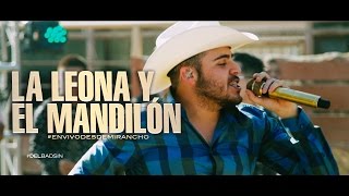 La Leona Y El Mandilón Lyrics English Translation