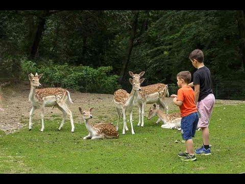 Parco Pallavicino - Italy tour