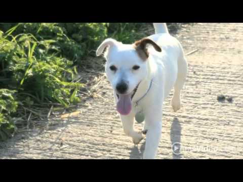 METRO @ Wilmington Station Apartments in Wilmington, MA - ForRent.com