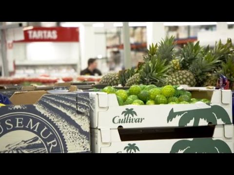 download lagu mp3 mp4 Costco Food Safety Requirements, download lagu Costco Food Safety Requirements gratis, unduh video klip Costco Food Safety Requirements