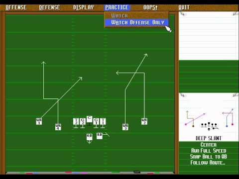 Unnecessary Roughness '95 PC