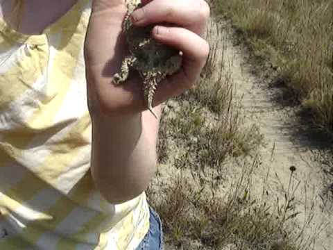 hiking in the hills of Montana