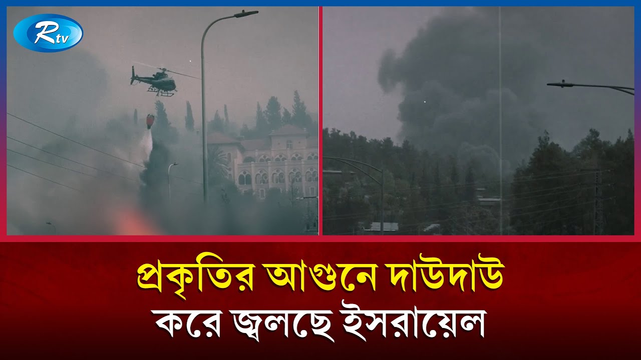 ভয়াবহ দা/বানলে পু/ড়ছে ইসরায়েল, প্রকৃতির প্রতিশোধ?  | Israel | Rtv News