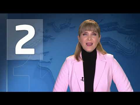 Dos | Con tutela tumban arbitraria norma en un conjunto residencial que limitaba tener mascotas