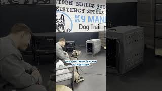 Download lagu Meet Kate, our newest dog trainer at K9 Mania, who transformed Athena from troubled to terrific! 🌟 mp3