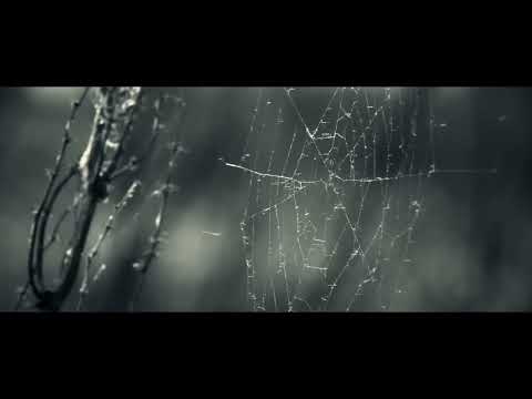 Funeral of our fire - Shadden Fahim X The Wave