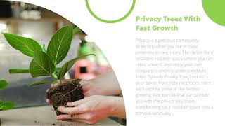 Speedy Privacy Tree Species - Your Savior from Nosy Neighbors