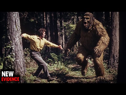 8 Terrifying Bigfoot Encounters That Left Campers Shaken