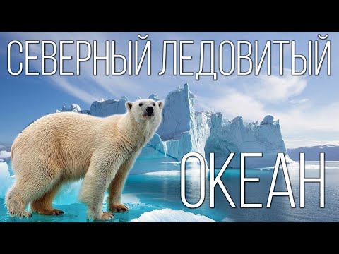 , title : 'Северный Ледовитый океан: Самый маленький и загадочный океан на Земле | Интересные факты про океаны'