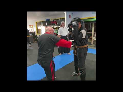 ZDK Sparring Concepts 1