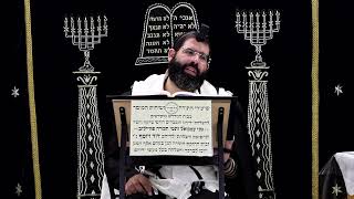 הוריות דף ז' ע''ב ¤ הרב נתנאל אברז'ל ¤ בית הכנסת "בית מרדכי" (מוסדות תורת דוד) - התמונה מוצגת ישירות מתוך אתר האינטרנט יוטיוב. זכויות היוצרים בתמונה שייכות ליוצרה. קישור קרדיט למקור התוכן נמצא בתוך דף הסרטון הוריות דף ז' ע''ב ¤ הרב נתנאל אברז'ל ¤ בית הכנסת "בית מרדכי" (מוסדות תורת דוד) - התמונה מוצגת ישירות מתוך אתר האינטרנט יוטיוב. זכויות היוצרים בתמונה שייכות ליוצרה. קישור קרדיט למקור התוכן נמצא בתוך דף הסרטון