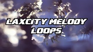 Tutorial #60 | Laxcity Melody Loops